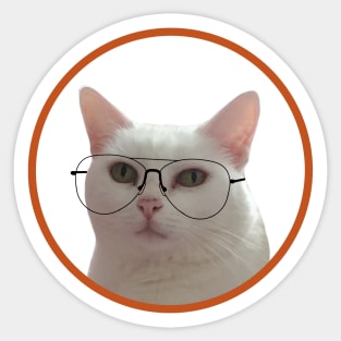 Cute Cat With Glasses Sticker